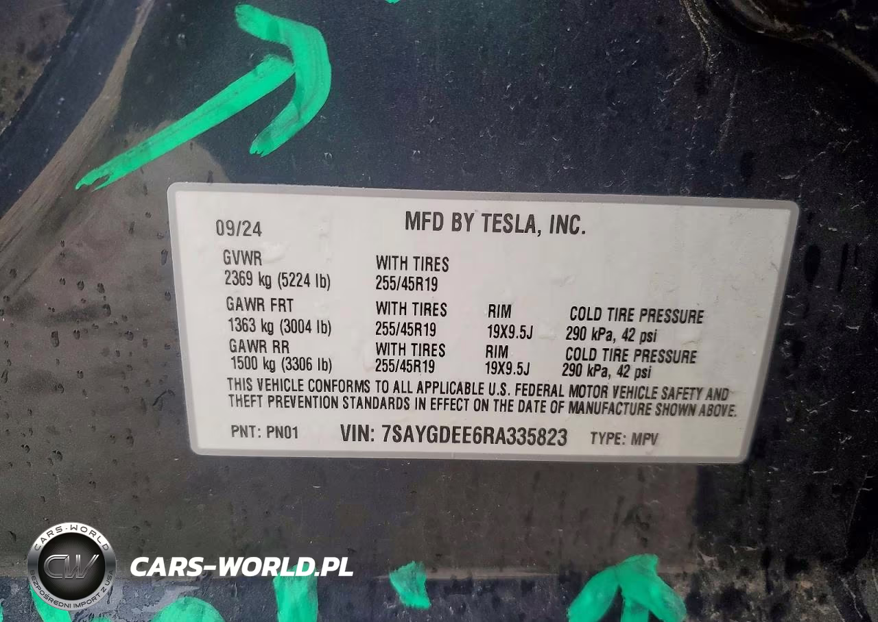 2024 Tesla Model Y VIN:7SAYGDEE6RA335823 - 12