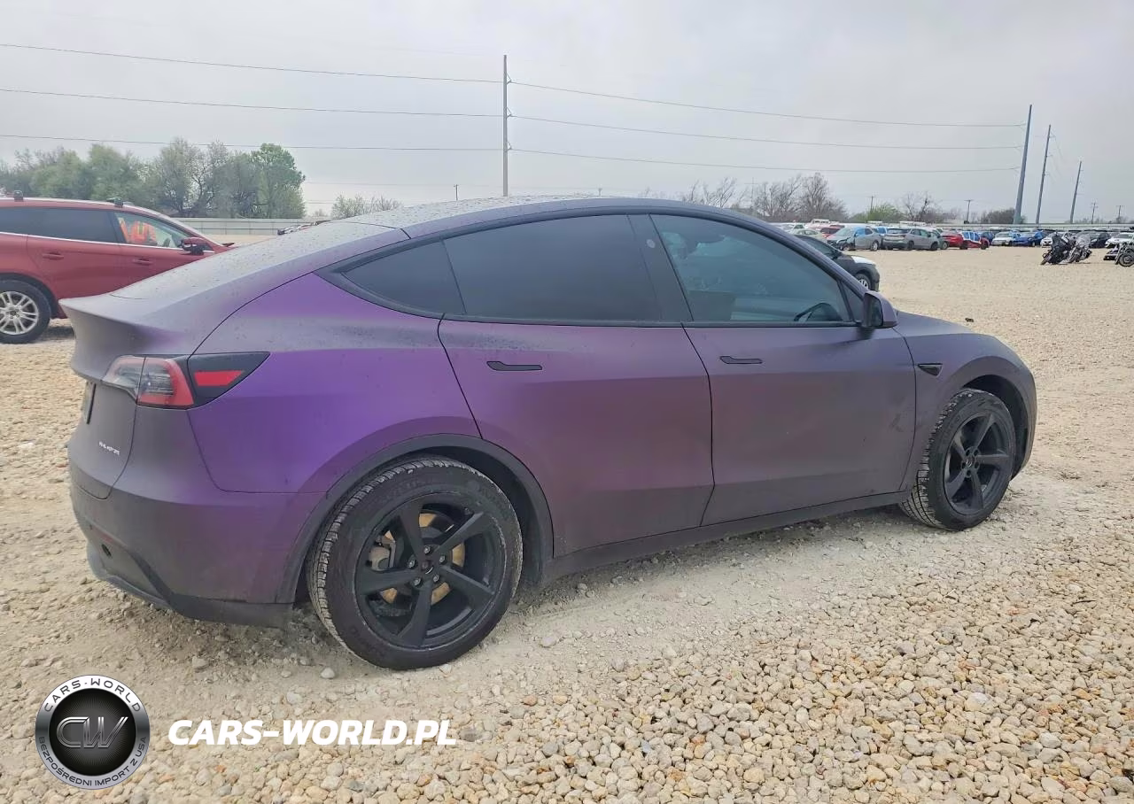 2024 Tesla Model Y VIN:7SAYGDEE6RA335823 - 3