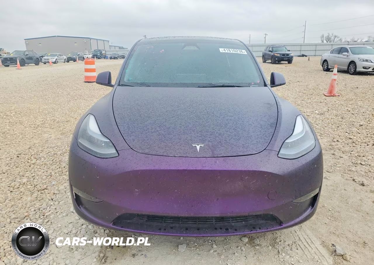 2024 Tesla Model Y VIN:7SAYGDEE6RA335823 - 5