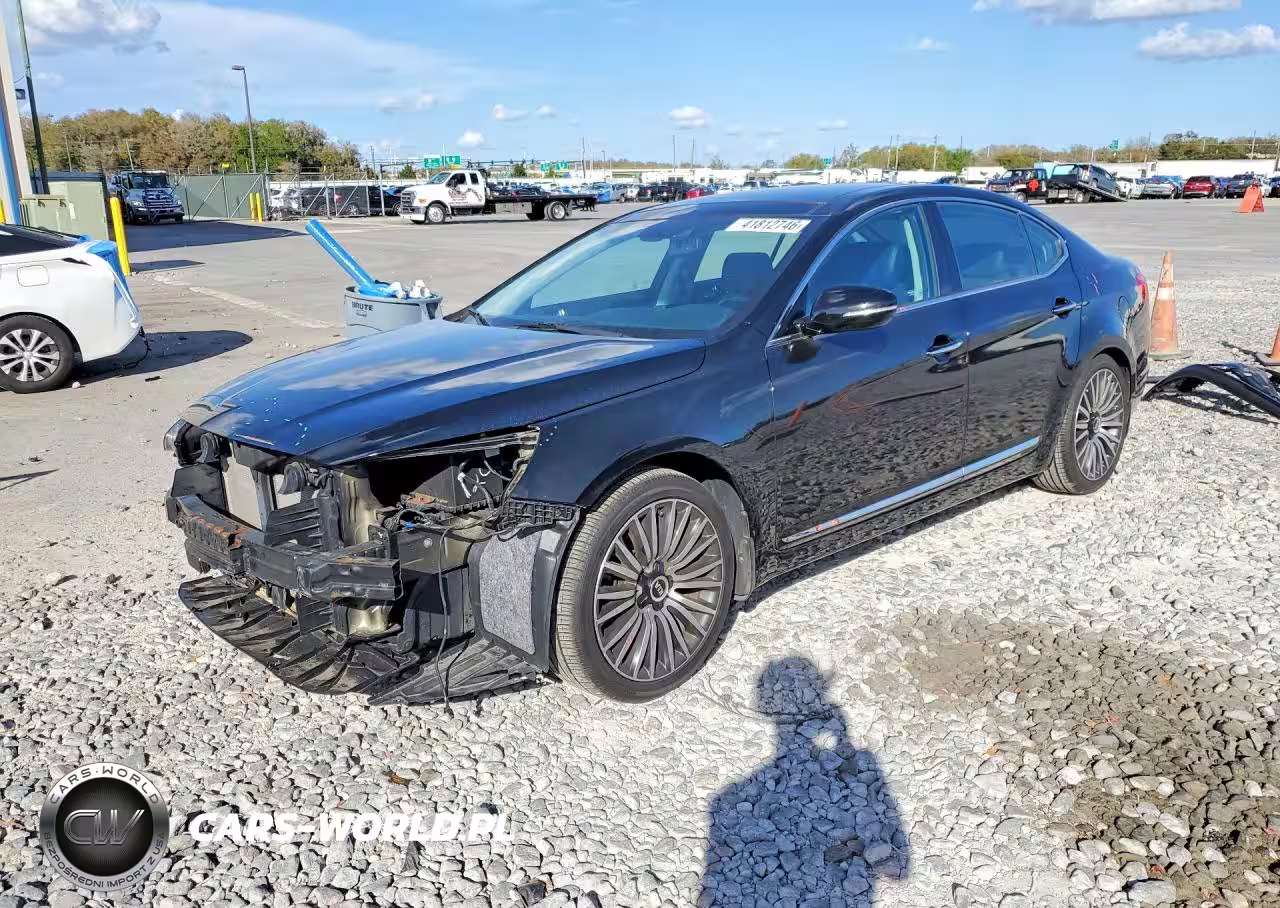 2014 Kia Cadenza Premium