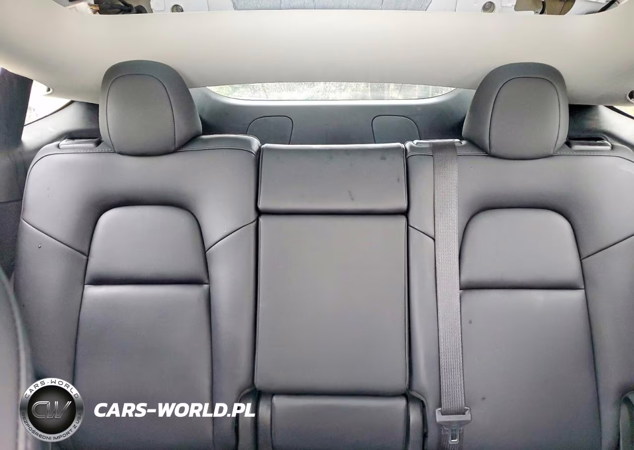 2023 Tesla Model Y VIN:7SAYGDEE3PF601847 - 10