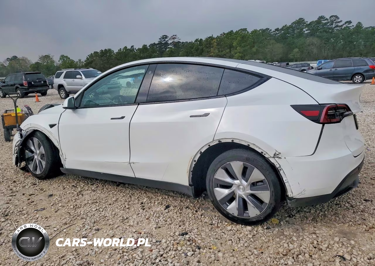 2023 Tesla Model Y VIN:7SAYGDEE3PF601847 - 2