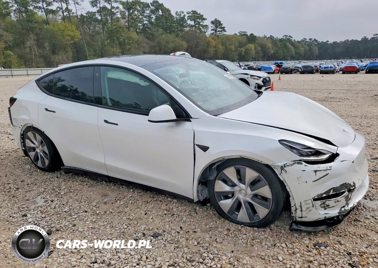 2023 Tesla Model Y VIN:7SAYGDEE3PF601847 - 4