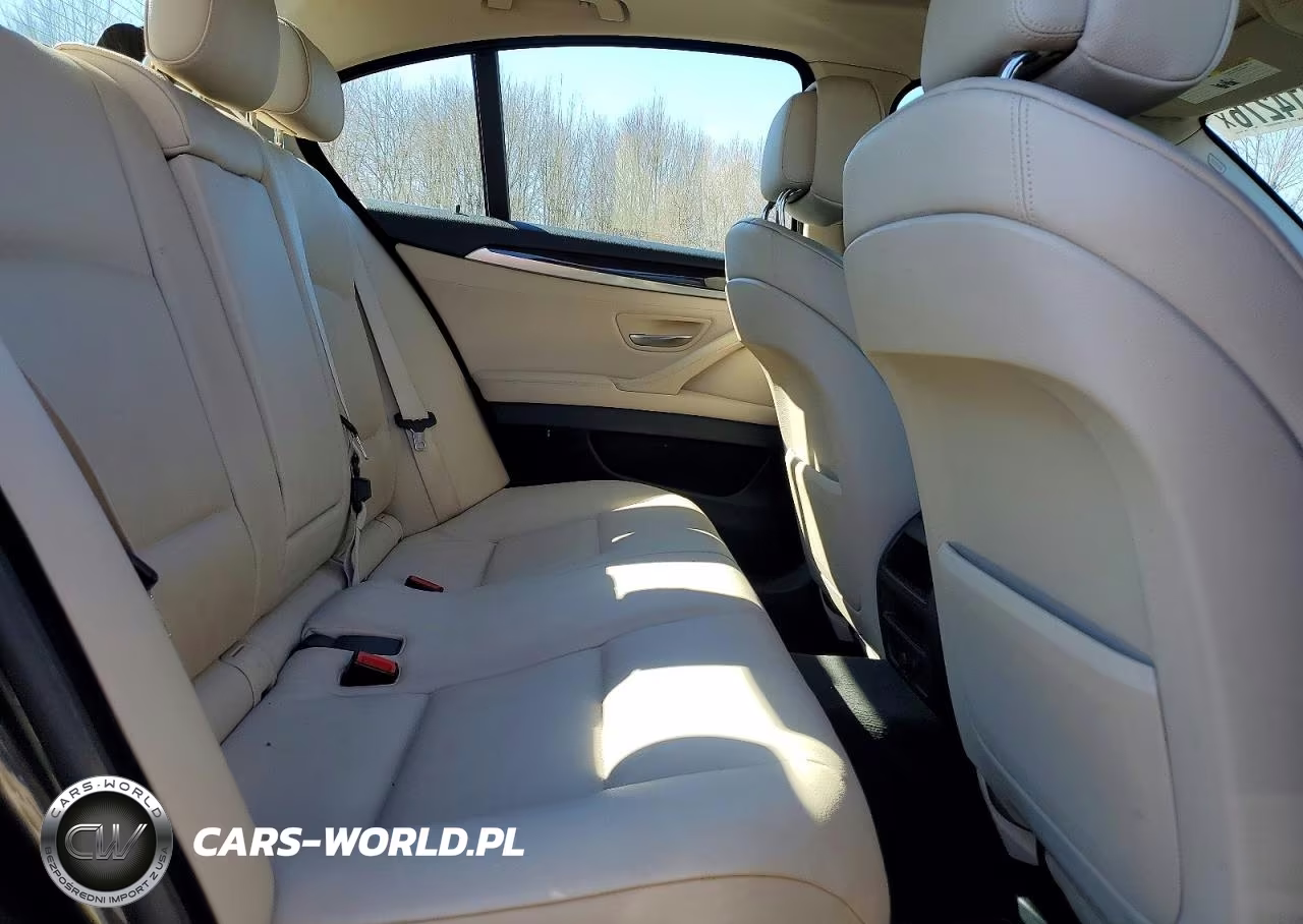 2013 BMW 528 Xi VIN:WBAXH5C59DDW14326 - 10