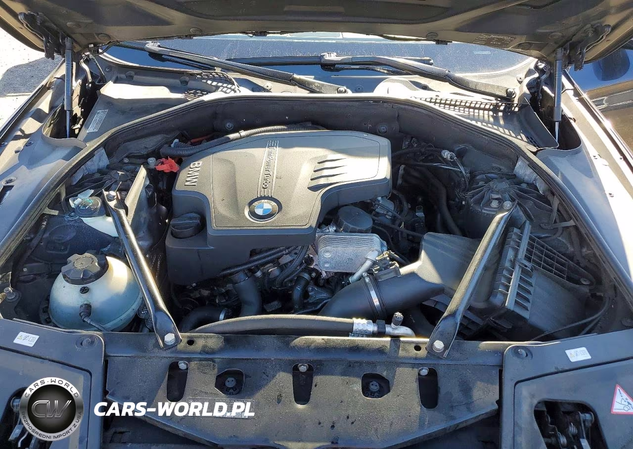 2013 BMW 528 Xi VIN:WBAXH5C59DDW14326 - 11