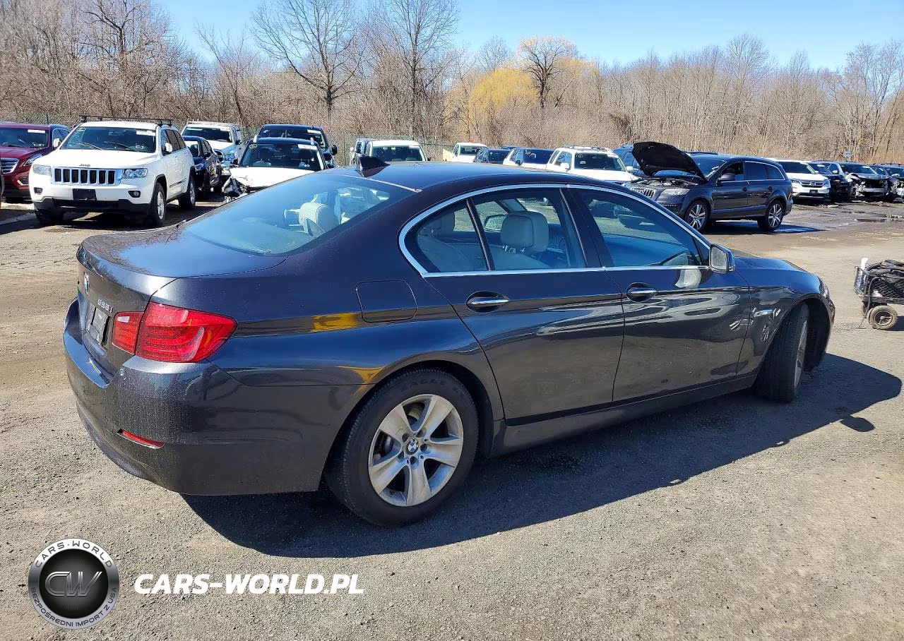 2013 BMW 528 Xi VIN:WBAXH5C59DDW14326 - 3