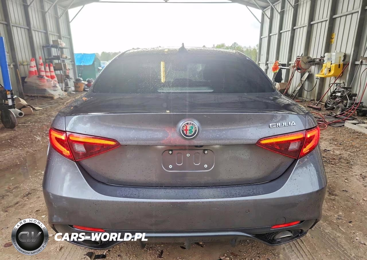 2018 Alfa Romeo Giulia VIN:ZARFAEBN4J7573186 - 6