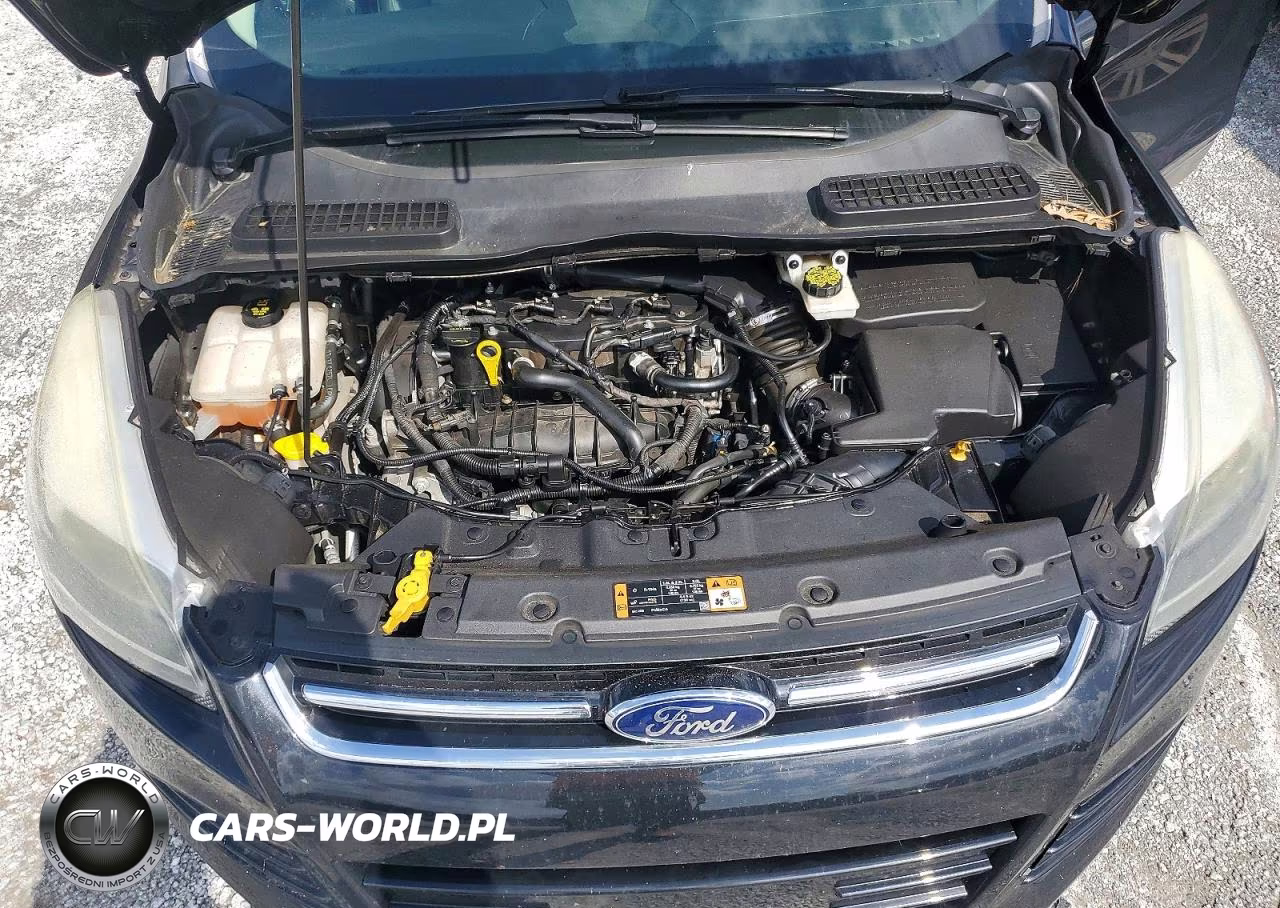 2014 Ford Escape Titanium VIN:1FMCU0JX9EUB96366 - 12