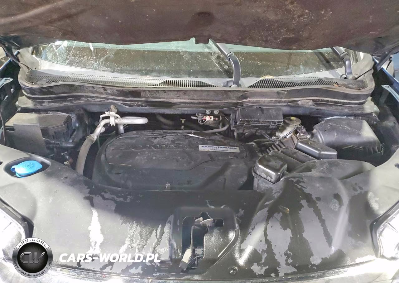 2019 Honda Pilot Exl VIN:5FNYF6H56KB075388 - 12