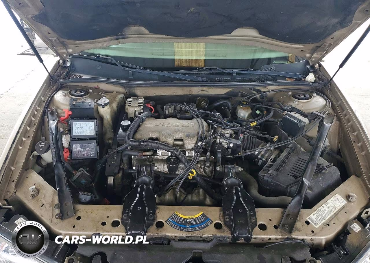 2004 Chev Impala VIN:2G1WF52E449272392 - 11