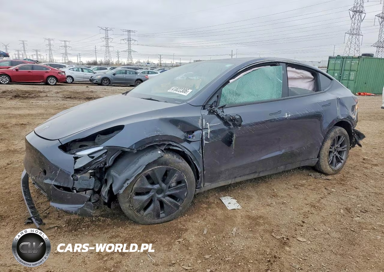 2024 Tesla Model Y