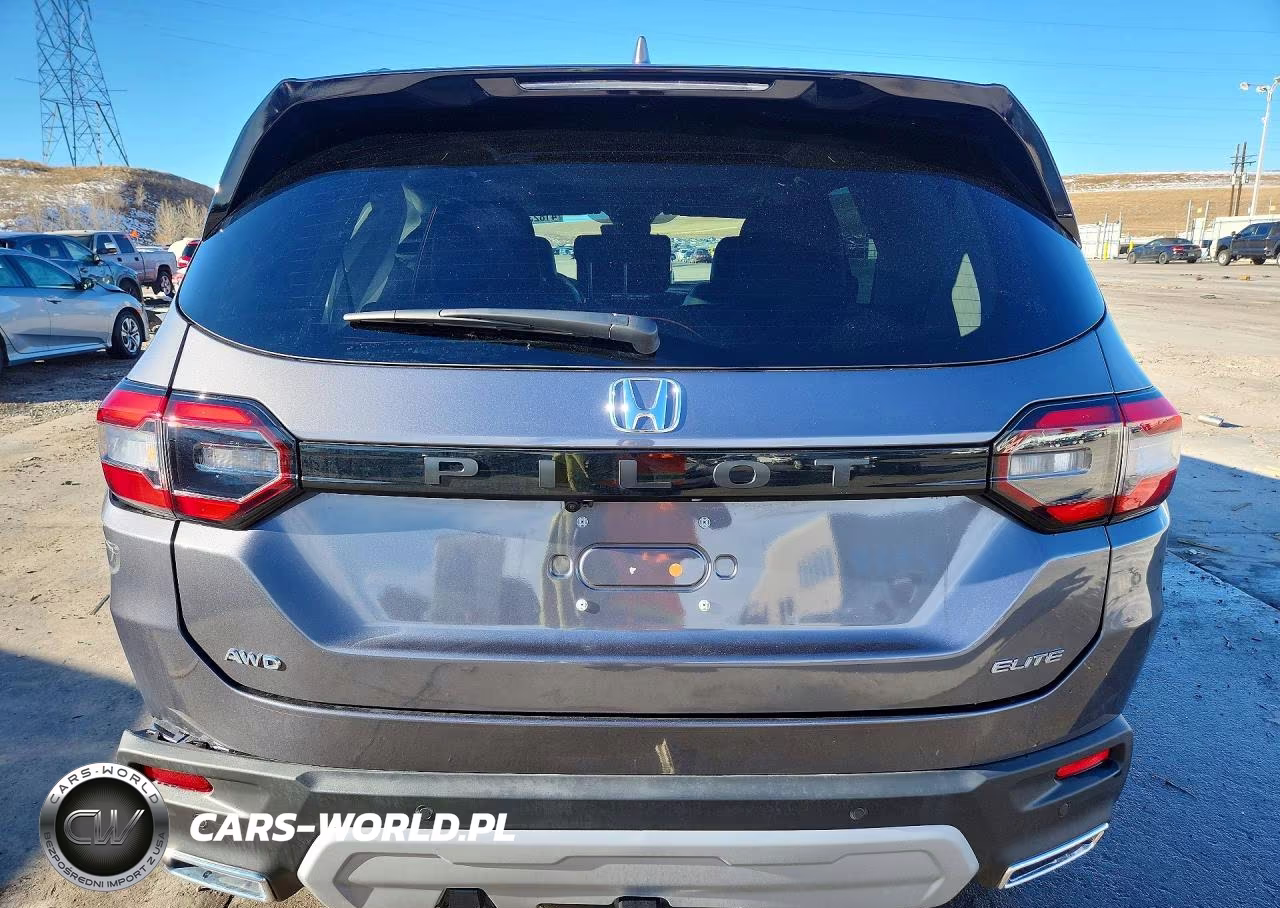 2025 Honda Pilot Elite VIN:5FNYG1H8XSB124313 - 6