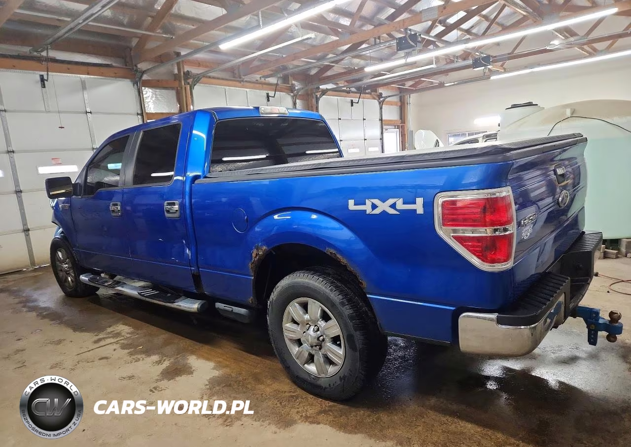 2009 Ford F150 Supercrew VIN:1FTPW14V79FA74129 - 2