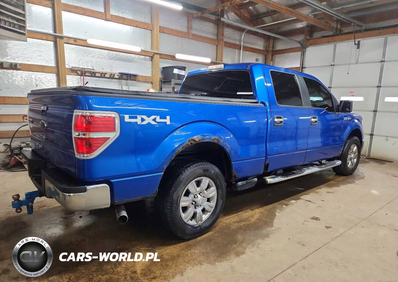 2009 Ford F150 Supercrew VIN:1FTPW14V79FA74129 - 3