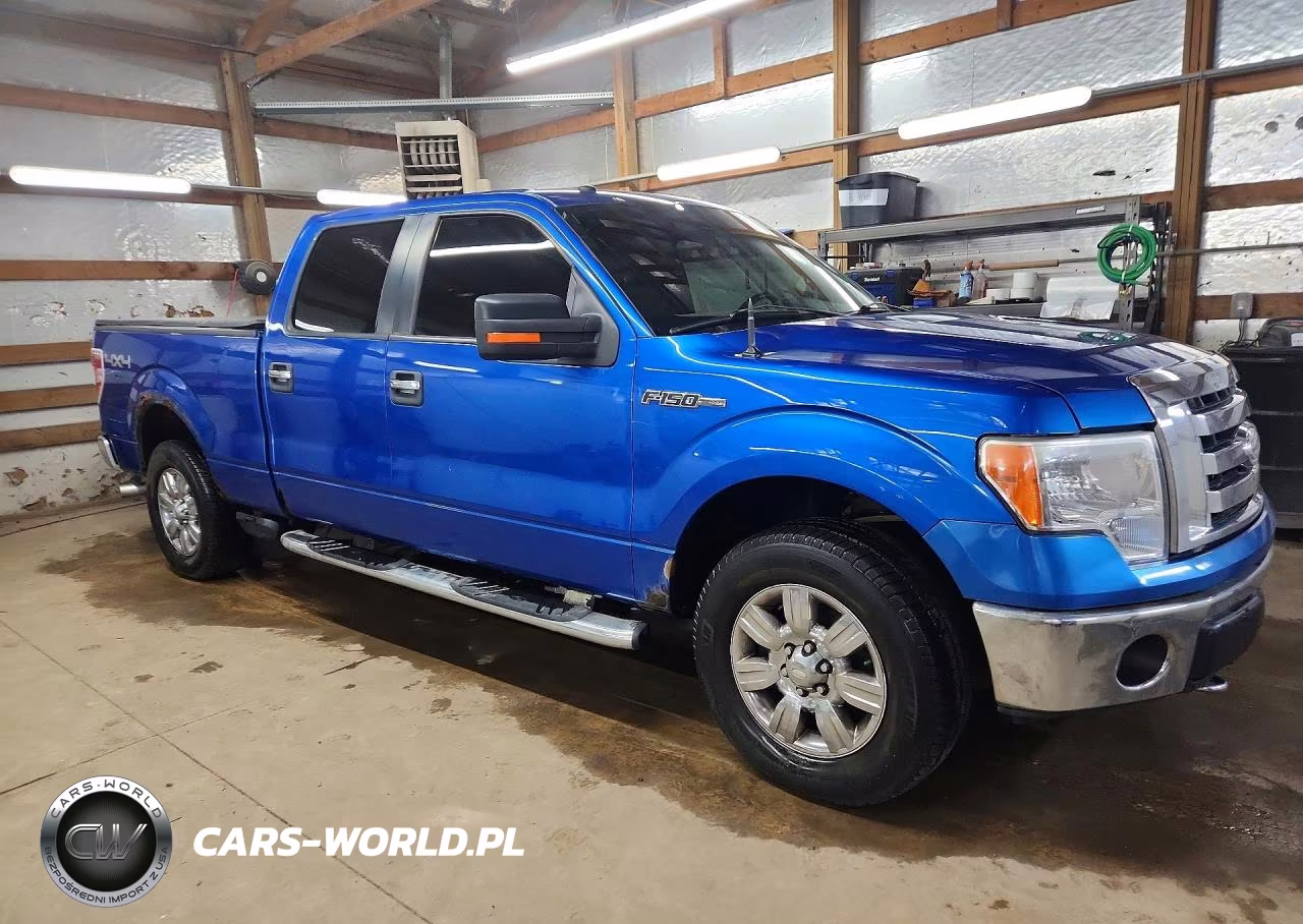 2009 Ford F150 Supercrew VIN:1FTPW14V79FA74129 - 4