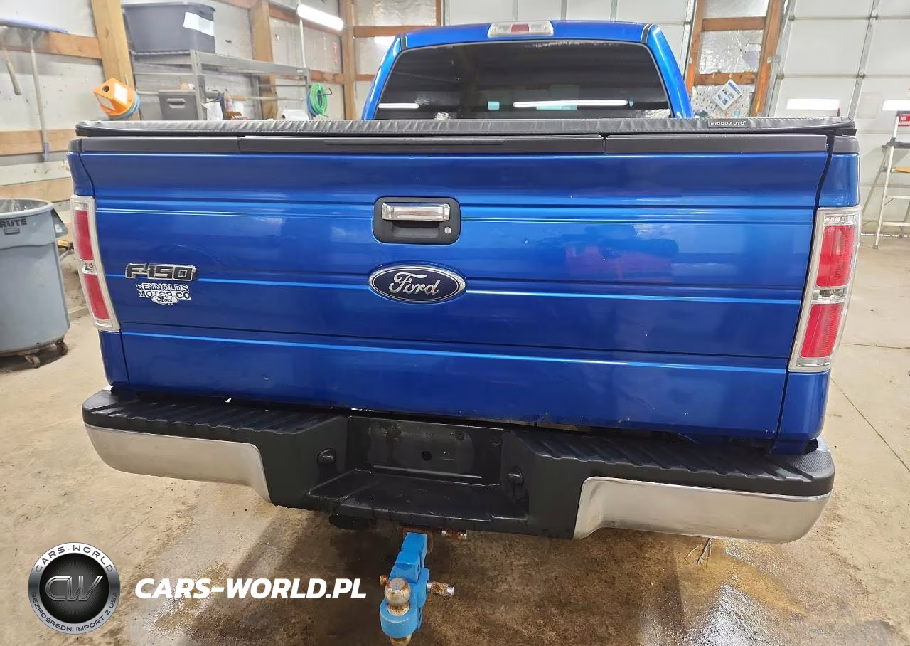 2009 Ford F150 Supercrew VIN:1FTPW14V79FA74129 - 6