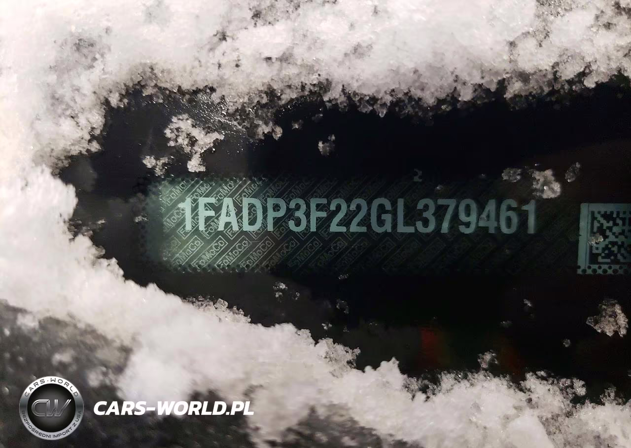 2016 Ford Focus Se VIN:1FADP3F22GL379461 - 12