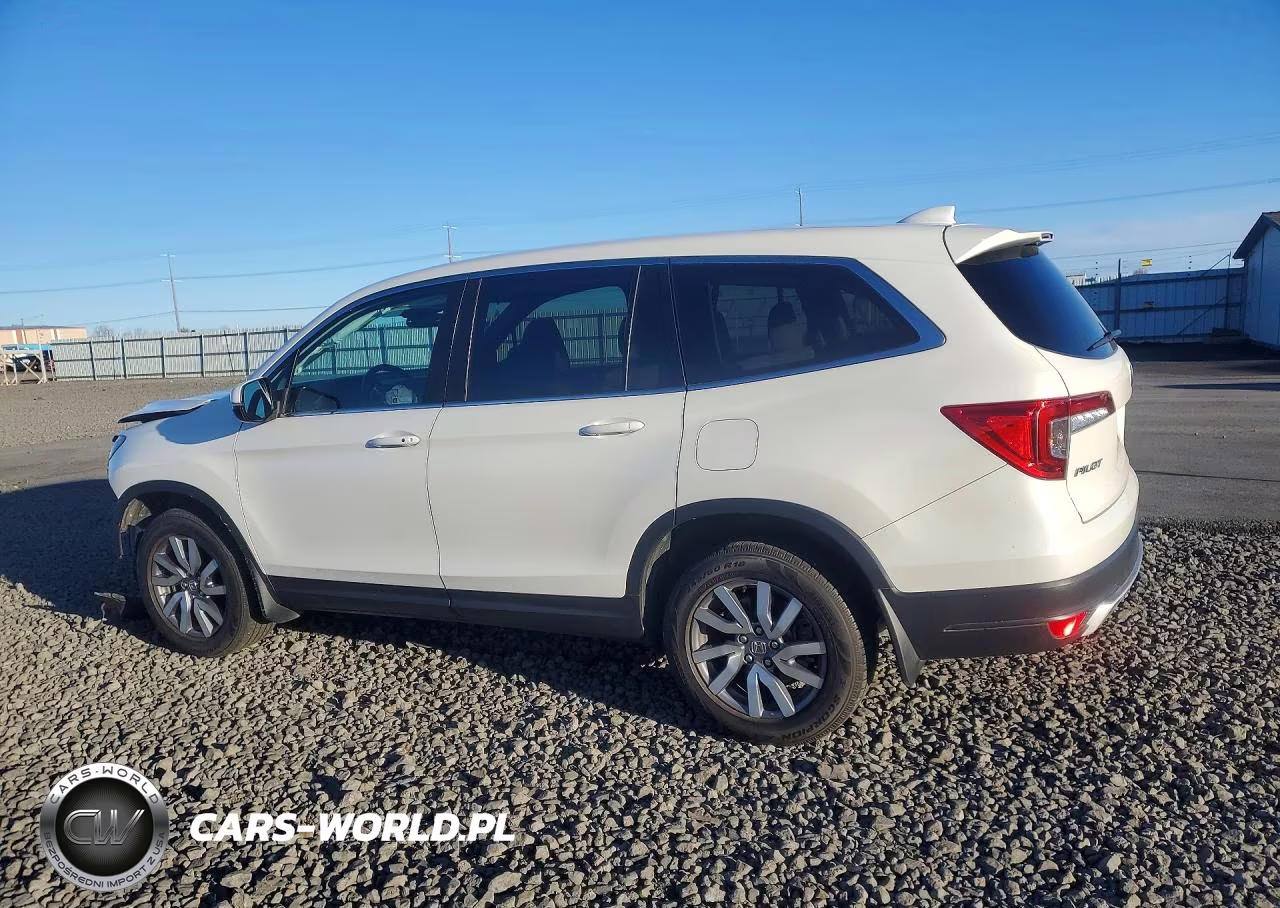 2019 Honda Pilot Ex VIN:5FNYF6H39KB071382 - 2
