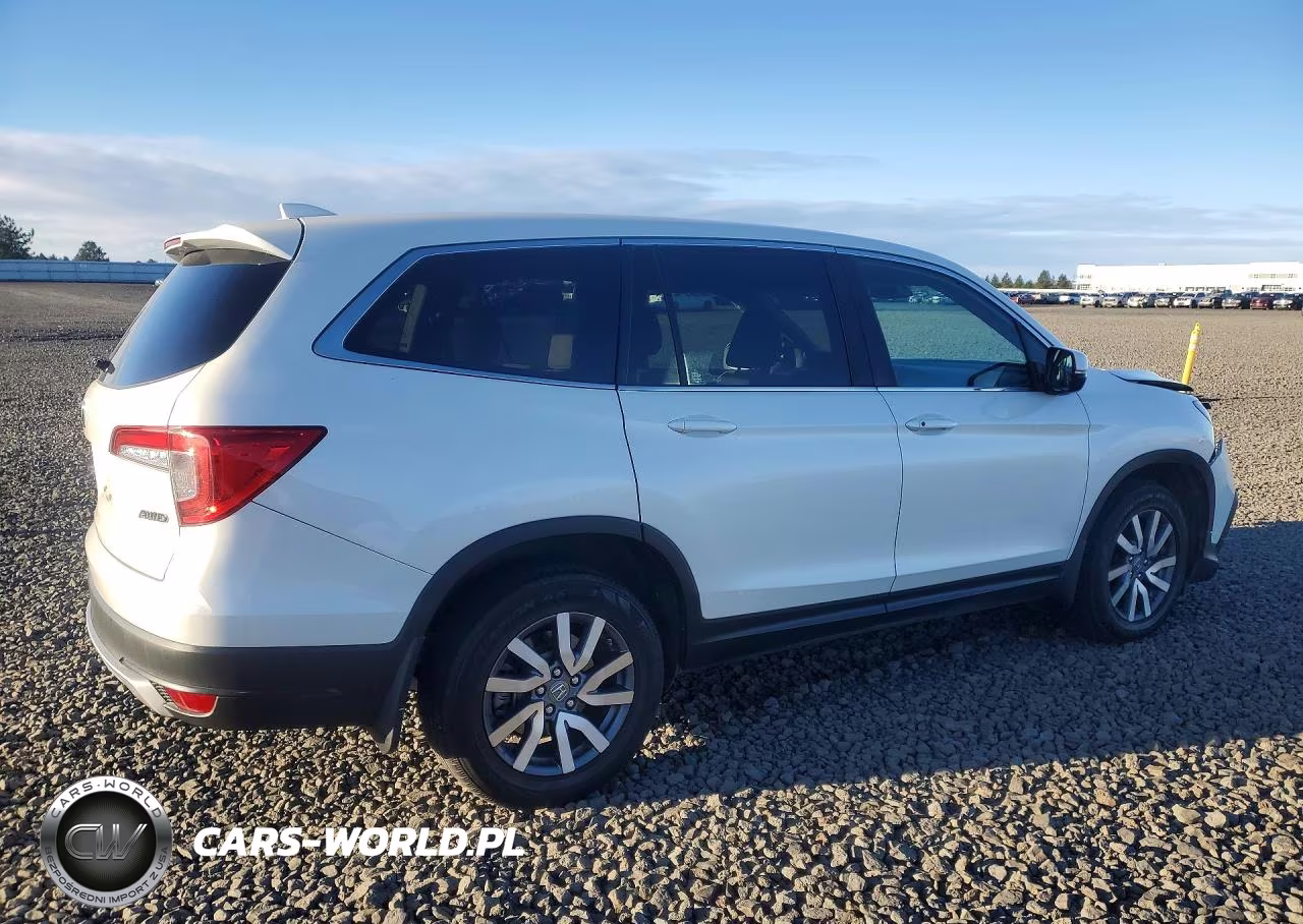 2019 Honda Pilot Ex VIN:5FNYF6H39KB071382 - 3