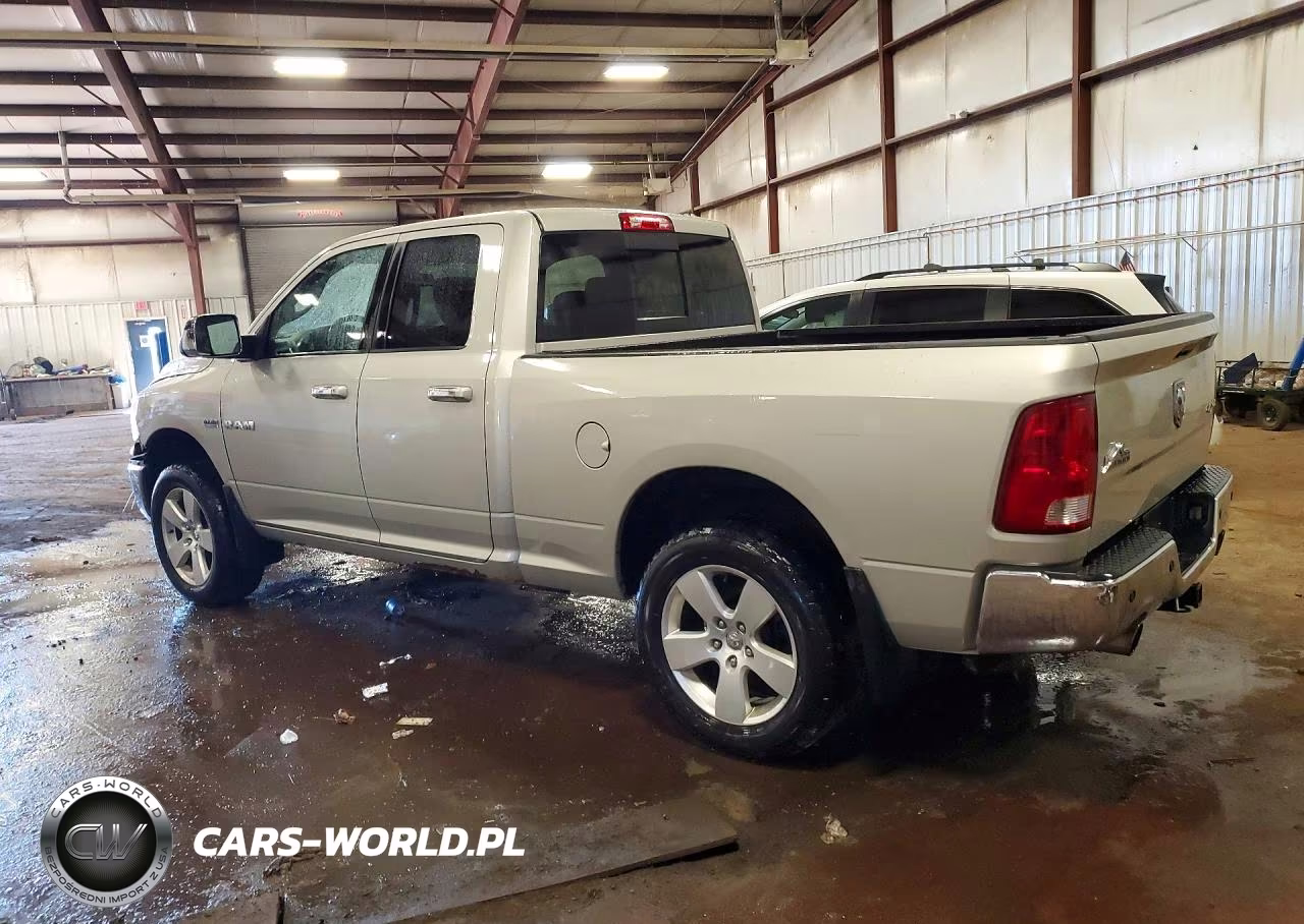2010 Dodge Ram 1500 VIN:1D7RV1GT3AS207542 - 2