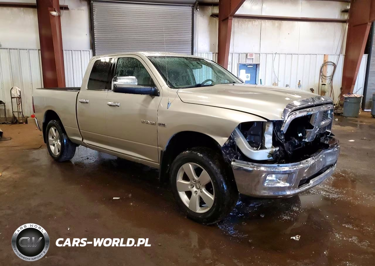 2010 Dodge Ram 1500 VIN:1D7RV1GT3AS207542 - 4