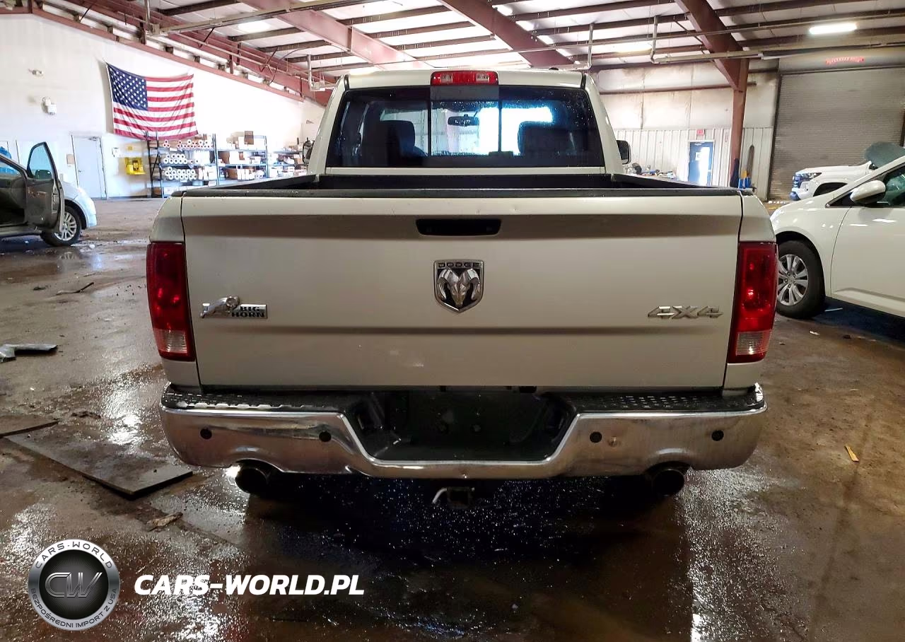 2010 Dodge Ram 1500 VIN:1D7RV1GT3AS207542 - 6