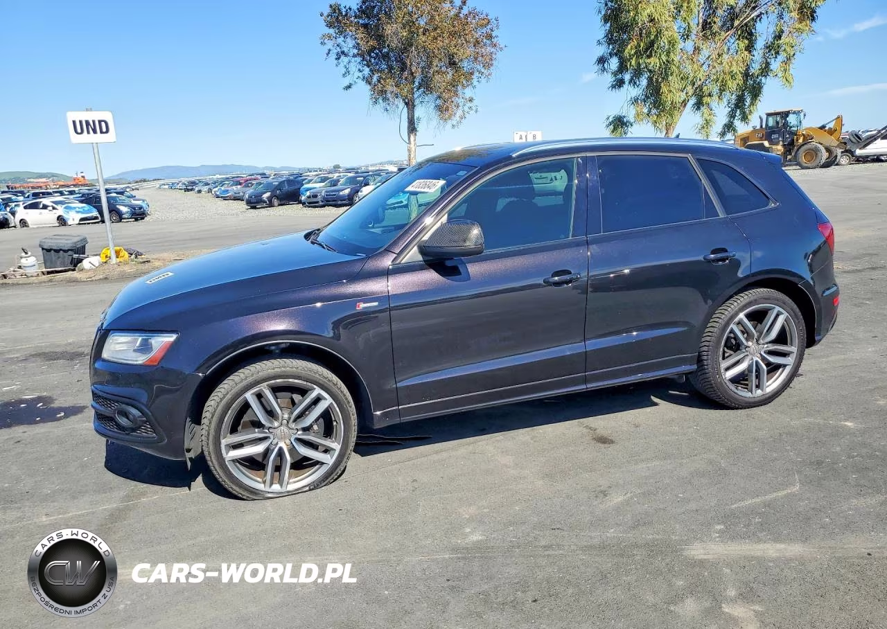 Główne zdjęcie 2014 Audi Sq5 Premium Plus
