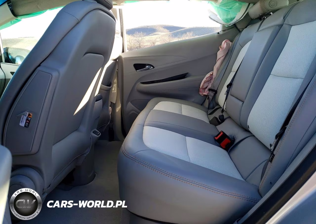 2019 Chevrolet Bolt Ev Premier VIN:1G1FZ6S03K4123988 - 11