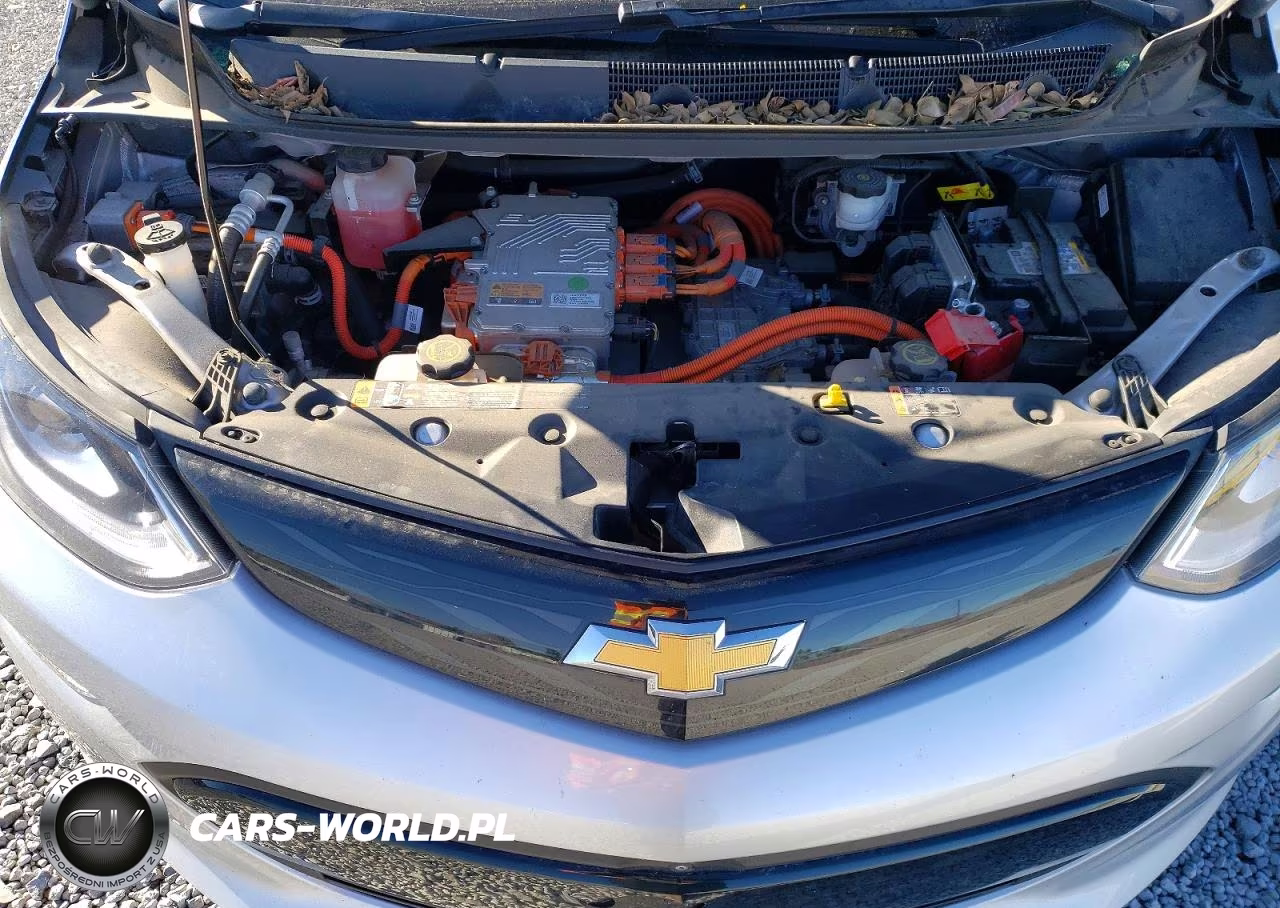 2019 Chevrolet Bolt Ev Premier VIN:1G1FZ6S03K4123988 - 12