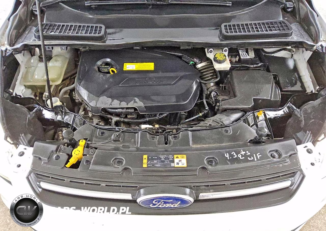 2016 Ford Escape Se VIN:1FMCU9GX3GUC89334 - 12