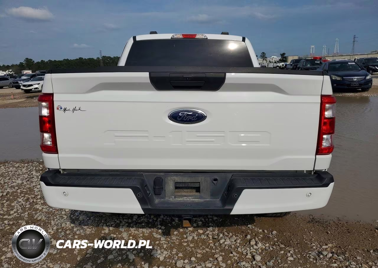 2023 Ford F150 Supercrew VIN:1FTEW1C53PKE72290 - 6