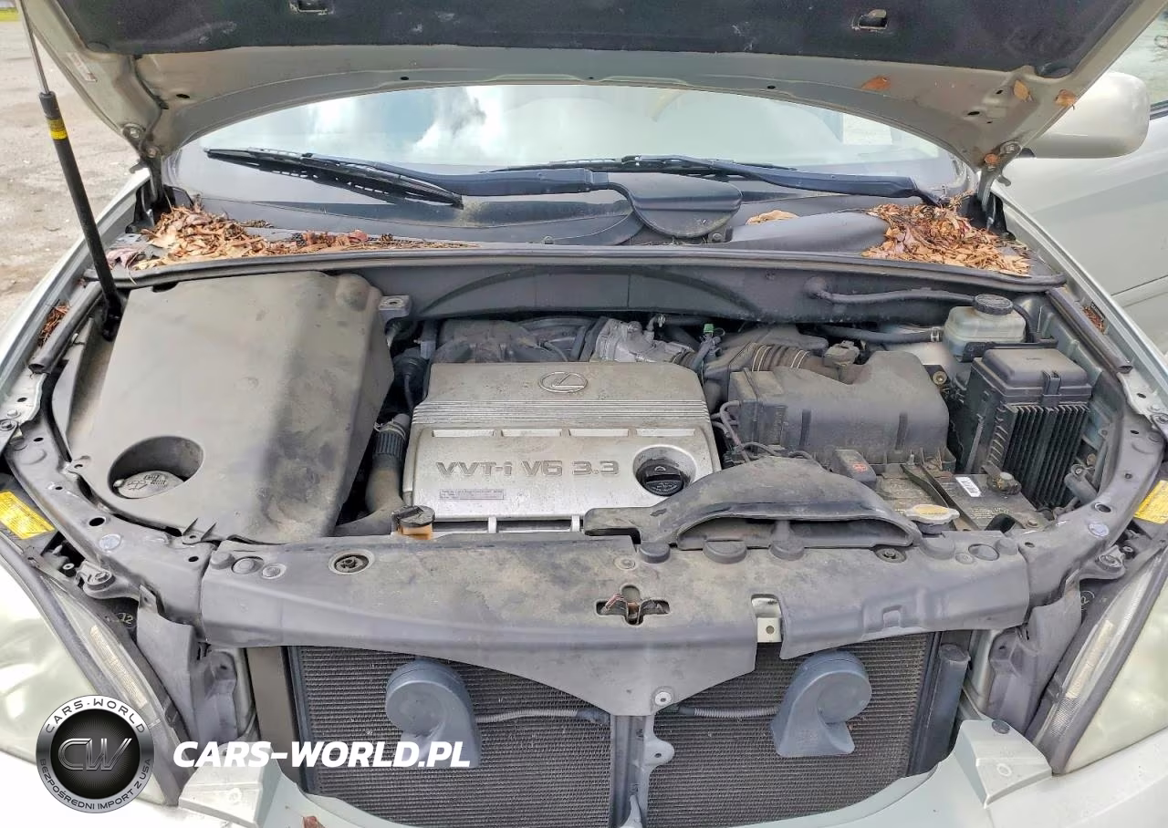 2005 Lexus Rx 330 Base VIN:JTJGA31U650046001 - 12