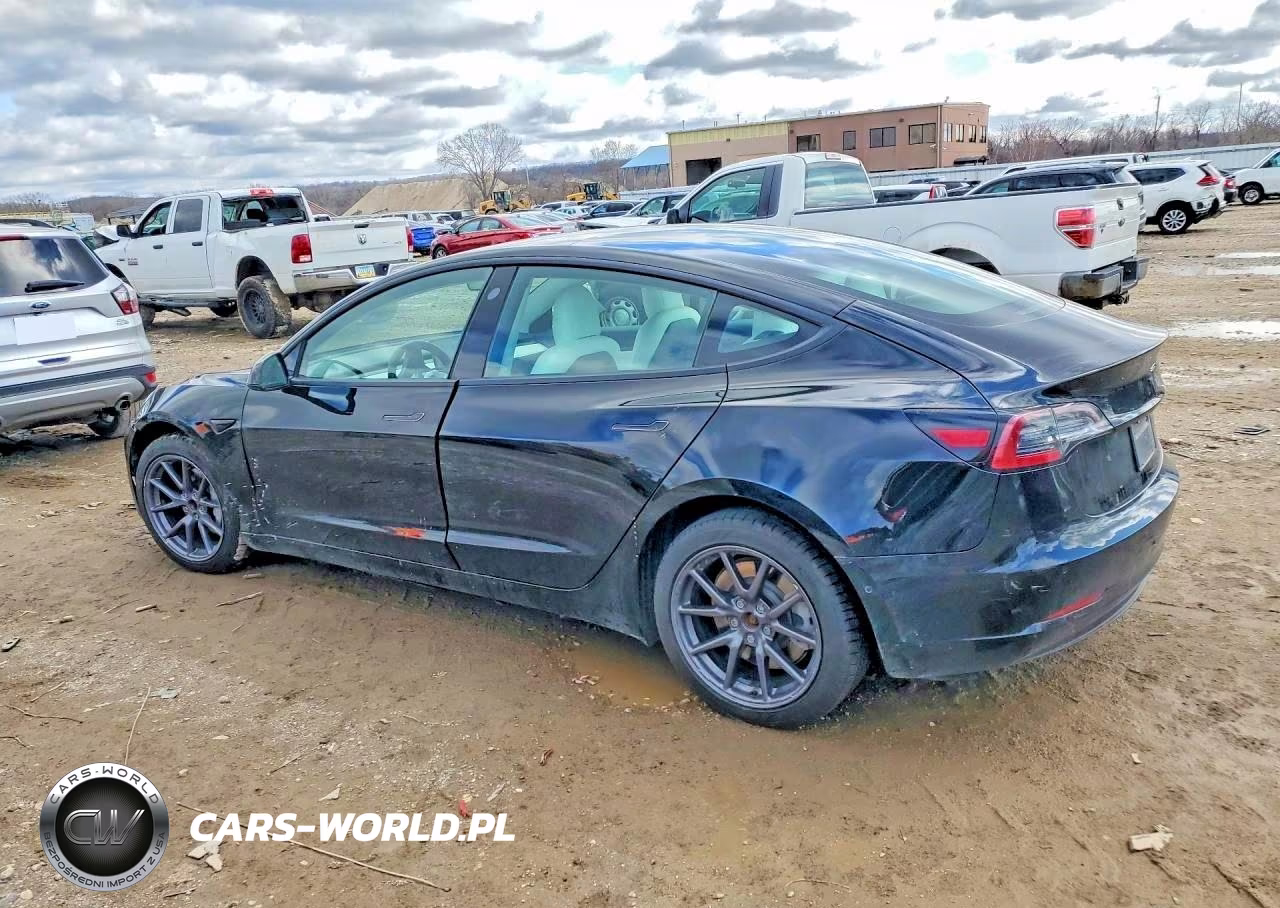 2020 Tesla Model 3 VIN:5YJ3E1EA7LF606746 - 2