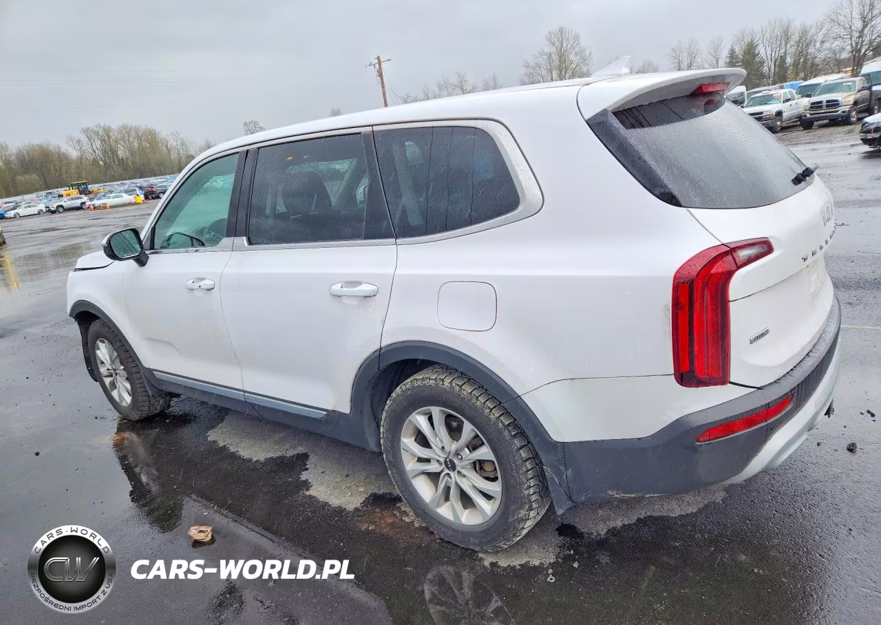 2022 Kia Telluride Lx VIN:5XYP2DHC8NG236282 - 2