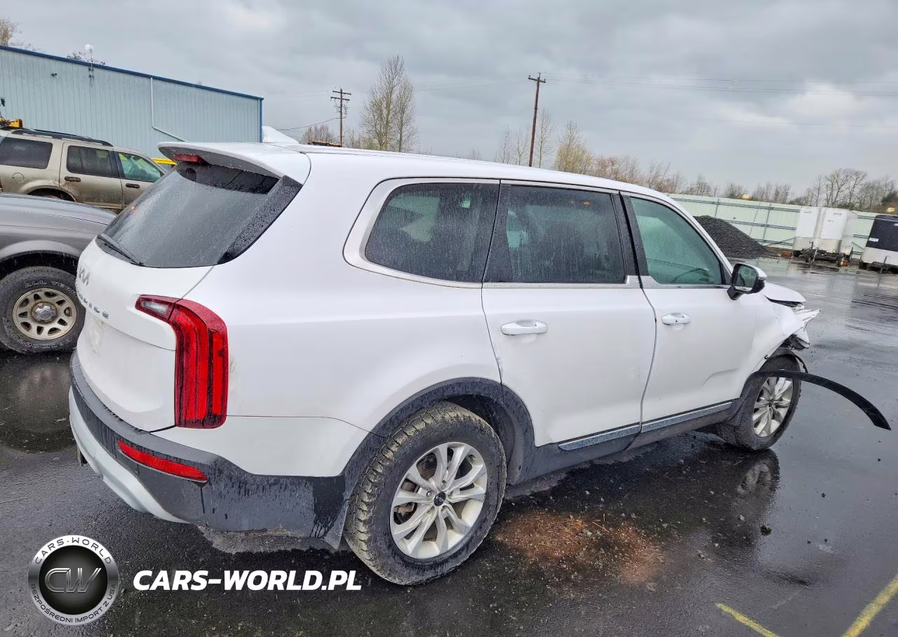2022 Kia Telluride Lx VIN:5XYP2DHC8NG236282 - 3
