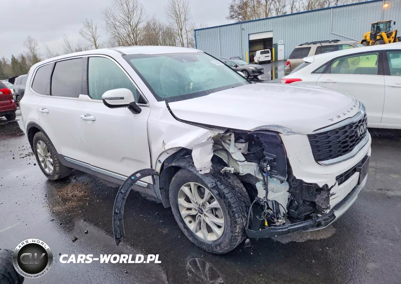 2022 Kia Telluride Lx VIN:5XYP2DHC8NG236282 - 4