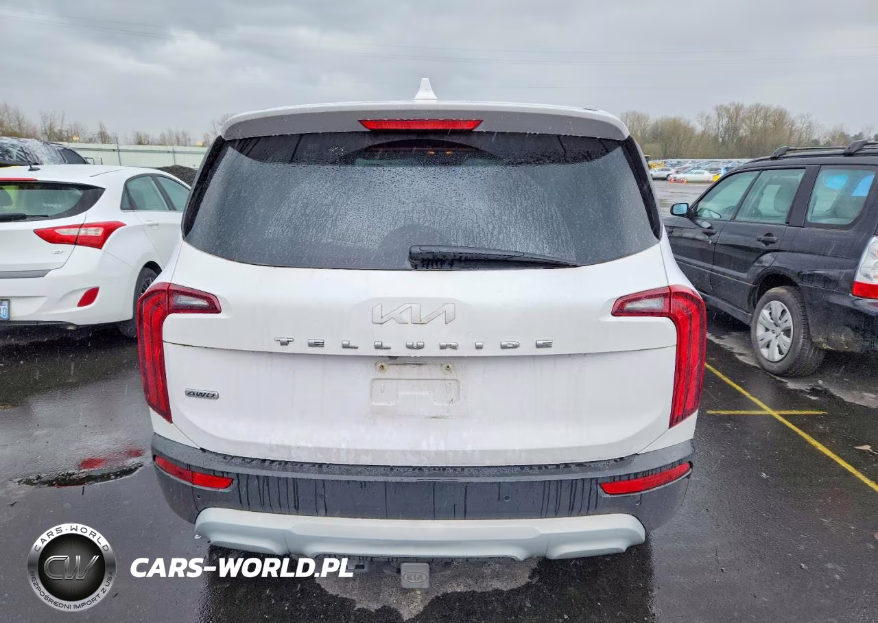 2022 Kia Telluride Lx VIN:5XYP2DHC8NG236282 - 6