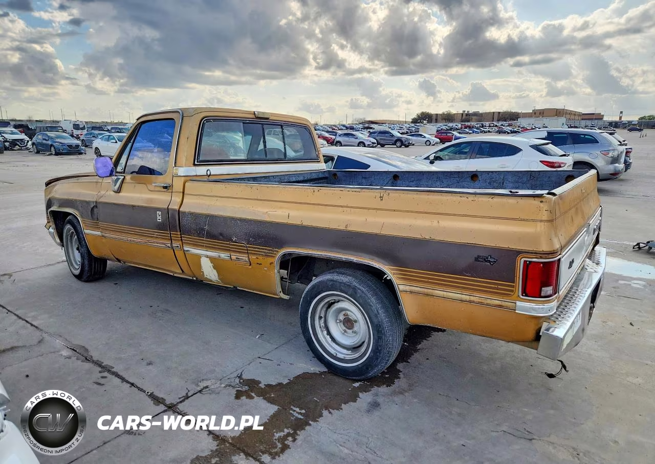 1986 Chevrolet C10 VIN:1GCDC14H4GS147466 - 2