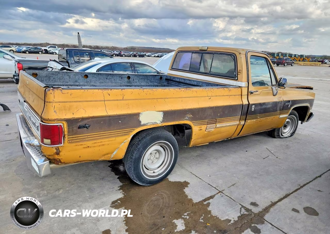 1986 Chevrolet C10 VIN:1GCDC14H4GS147466 - 3