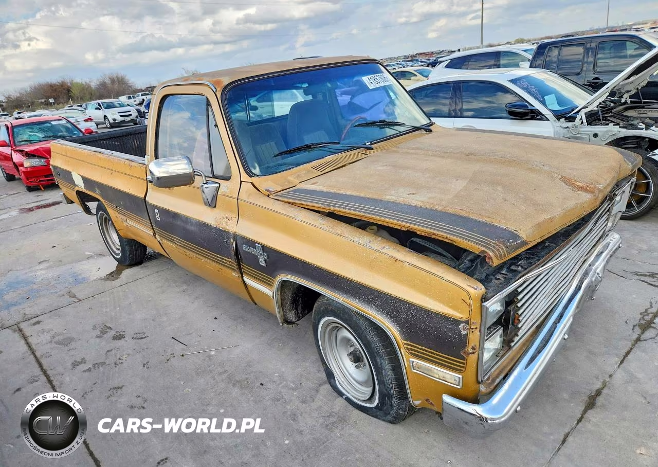 1986 Chevrolet C10 VIN:1GCDC14H4GS147466 - 4