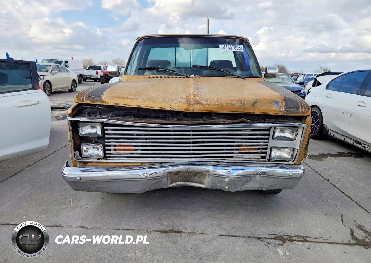 1986 Chevrolet C10 VIN:1GCDC14H4GS147466 - 5