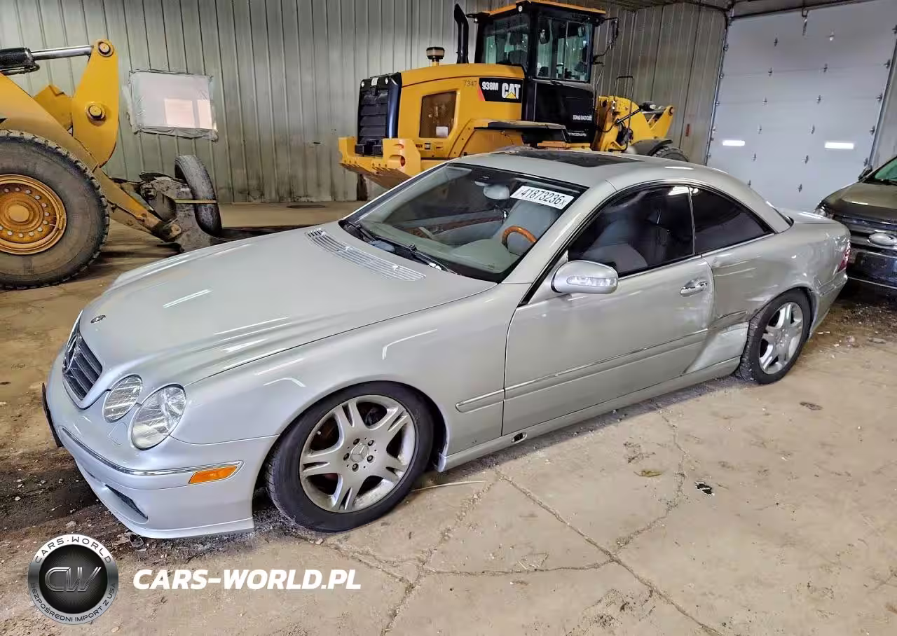 2004 Mercedes-Benz Cl 500