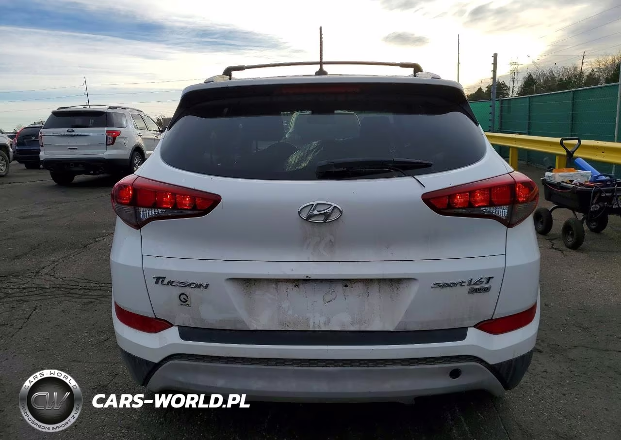 2017 Hyundai Tucson Sport VIN:KM8J3CA23HU296726 - 6