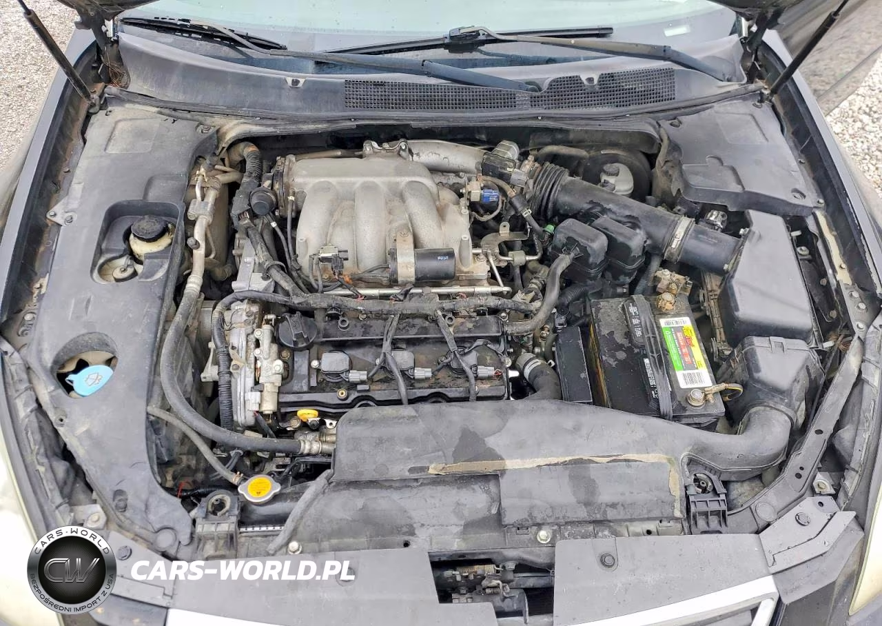 2008 Nissan Maxima 3.5 Se VIN:1N4BA41E38C802226 - 11