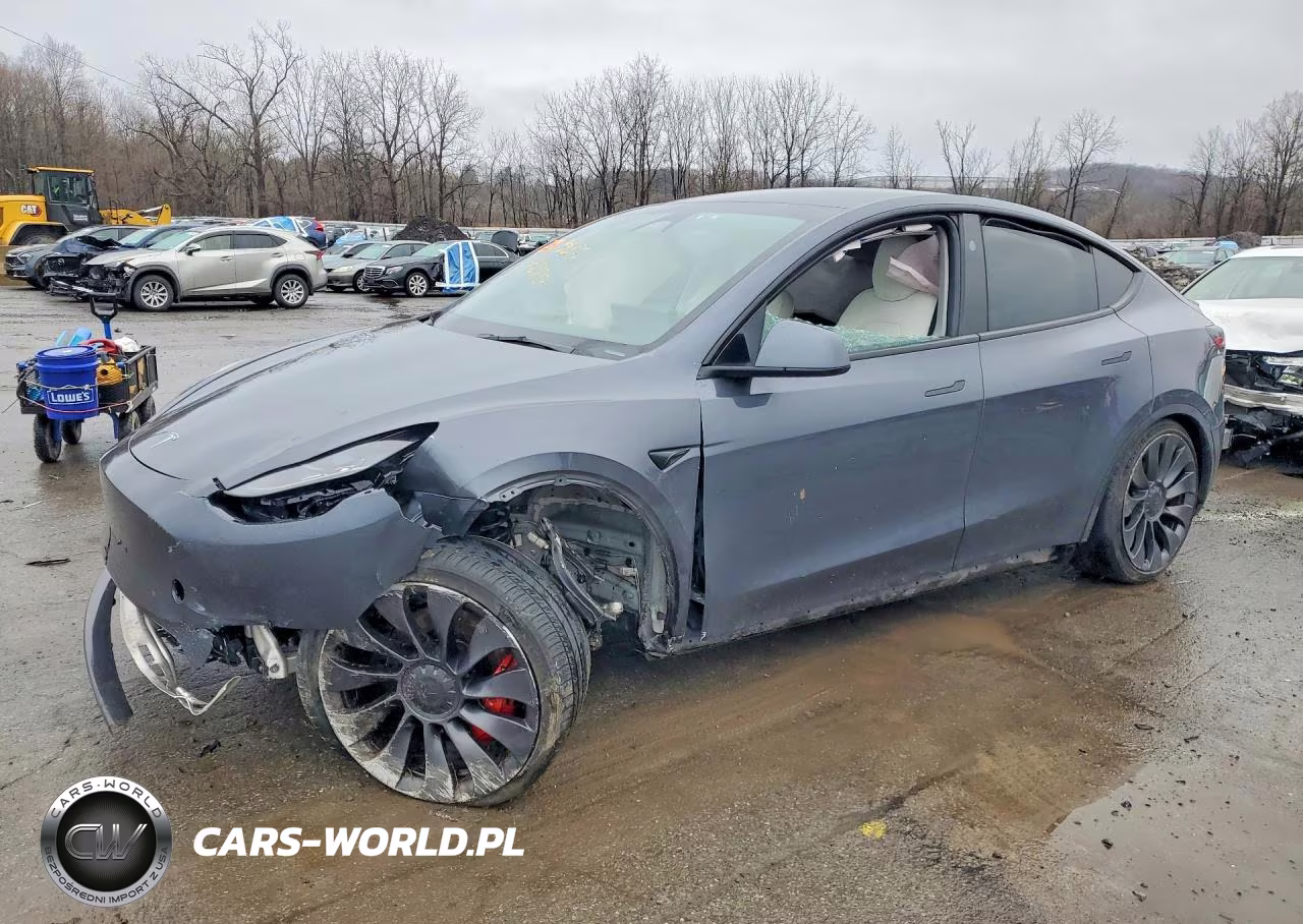 Główne zdjęcie 2023 Tesla Model Y