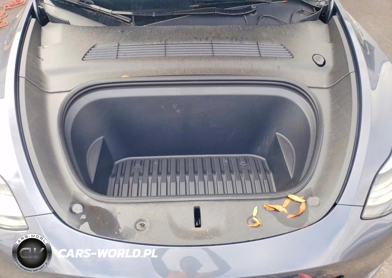 2023 Tesla Model Y VIN:7SAYGDEDXPF956277 - 12