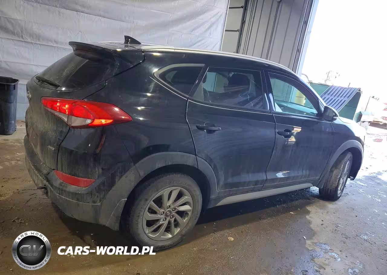2017 Hyundai Tucson Se Plus VIN:KM8J3CA46HU464683 - 3