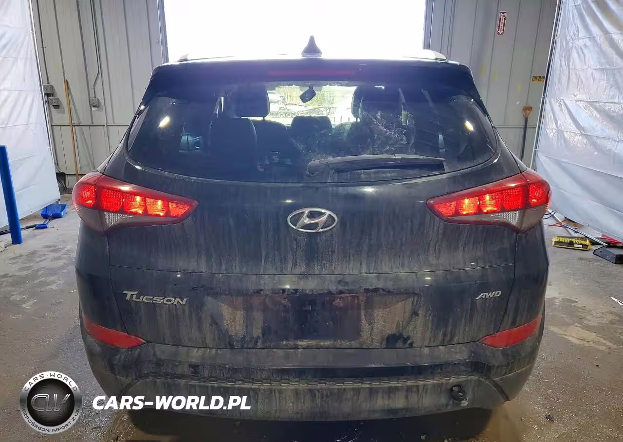 2017 Hyundai Tucson Se Plus VIN:KM8J3CA46HU464683 - 6