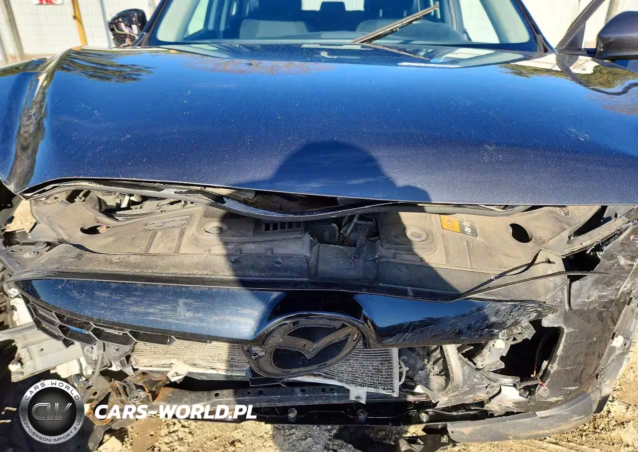 2014 Mazda Cx-5 Sport VIN:JM3KE2BE3E0417111 - 12