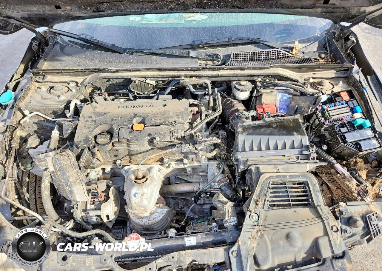 2024 Honda Civic Lx VIN:19XFL2H56RE017290 - 11